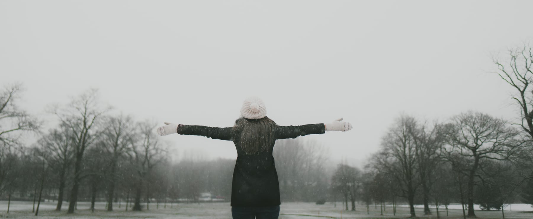 Will a large donor in a small team stifle growth?